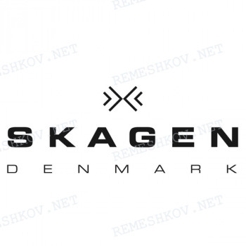 Ремешок для часов Skagen 233XLSLC